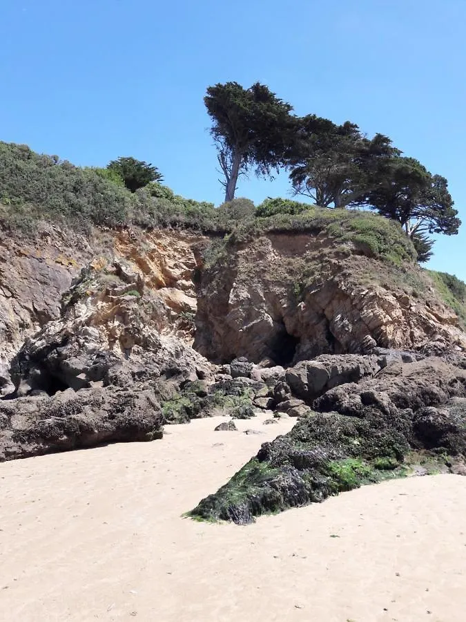 Appartement Le Studio Du Ris Douarnenez
