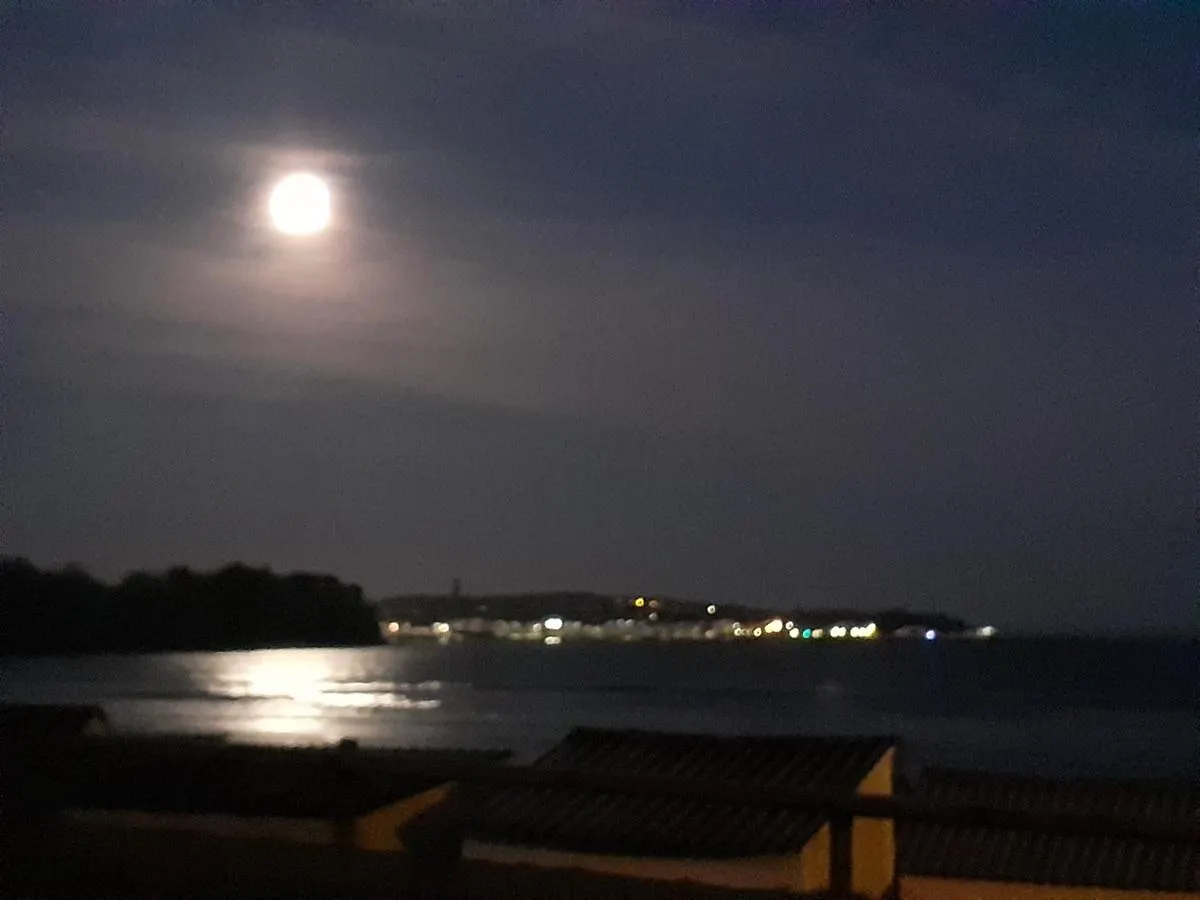 Apartment Le Studio Du Ris Douarnenez